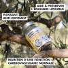 AIL NOIR Triplement Fermenté et extrait d’OLIVIER | Équilibre Cardiovasculaire, Lipidique et Circulation Sanguine | RICHE en 