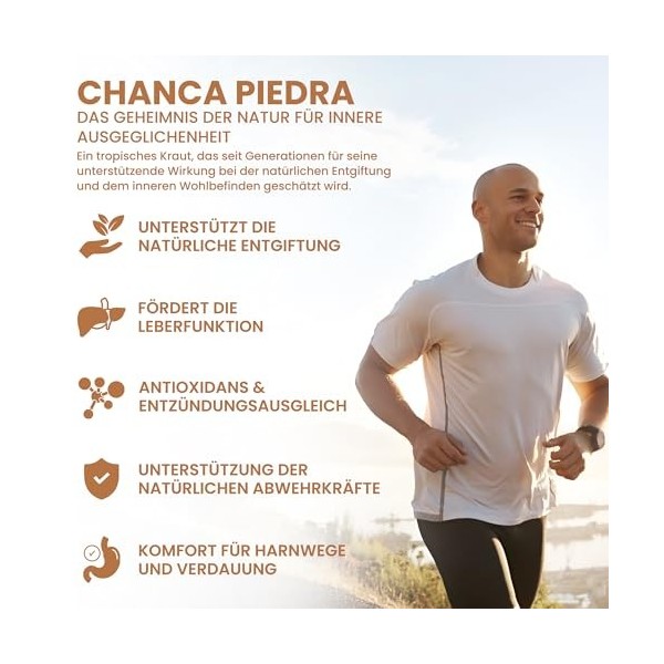 Alzuro Labs Chanca Piedra | 5 000 mg équivalent extrait 500 mg 10:1 | 120 capsules végétaliennes | 4 mois de stock | Complé