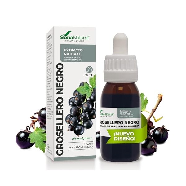 EXTRACTO GROSELLERO NEGRO XXI 50 ML