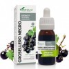 EXTRACTO GROSELLERO NEGRO XXI 50 ML