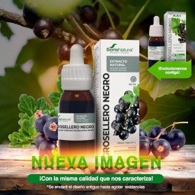 EXTRACTO GROSELLERO NEGRO XXI 50 ML