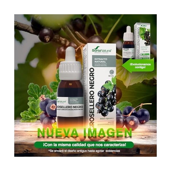 EXTRACTO GROSELLERO NEGRO XXI 50 ML