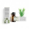 TERPENIC ARBOL DEL TE aceite esencial – infusion aux plantes pour des pauses détente, peut être consommé en journée ou en soi