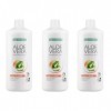 LR Lot de 3 bouteilles de gel à laloe vera pêche 3000 ml