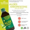 Vestena - Aloe Arborescens avec Agave 100% Pur, Naturel - Recette PÚre Zago. Jus Détox Naturel pour Foie et Intestins, Draina