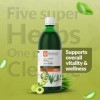 Krishnas Amla Aloe Vera Jus dherbe de blé, Haldi et Tulsi – 500 ml lot de 2 | Antioxydant puissant | Enrichi en vitamine