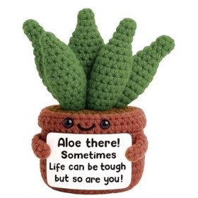 Floruvia Positive Häkel Aloe Vera Pflanze, Mini Häkelpflanze avec Message Positif, Cadeaux Inspirants, Anniversaires, Fête de