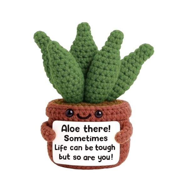 Floruvia Positive Häkel Aloe Vera Pflanze, Mini Häkelpflanze avec Message Positif, Cadeaux Inspirants, Anniversaires, Fête de