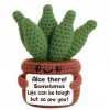 Floruvia Positive Häkel Aloe Vera Pflanze, Mini Häkelpflanze avec Message Positif, Cadeaux Inspirants, Anniversaires, Fête de