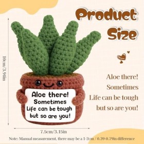 Floruvia Positive Häkel Aloe Vera Pflanze, Mini Häkelpflanze avec Message Positif, Cadeaux Inspirants, Anniversaires, Fête de
