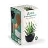 Radis et Capucine - Kit Aloe Vera