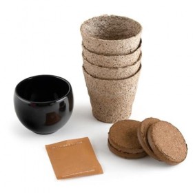 Radis et Capucine - Kit Aloe Vera