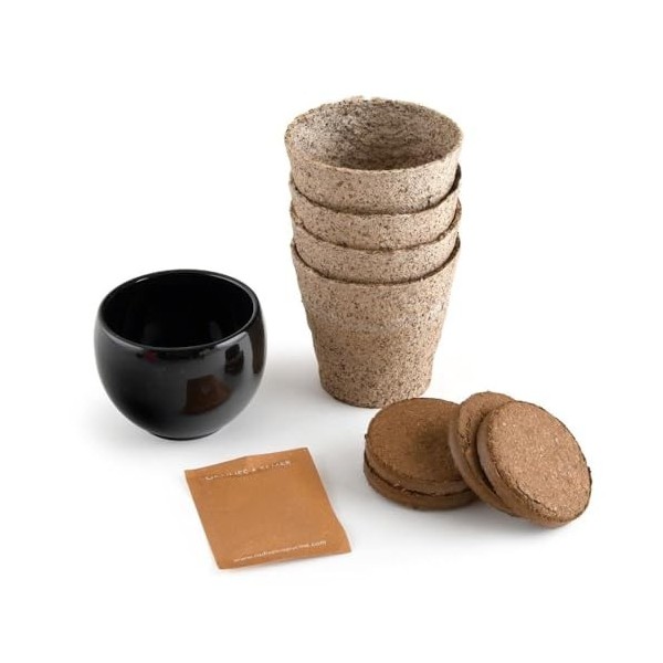 Radis et Capucine - Kit Aloe Vera