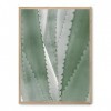 Cuadro aloe vera_FASE5