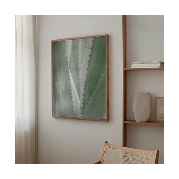 Cuadro aloe vera_FASE5