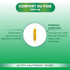 Forté Pharma - FortéDétox Confort du Foie 2800mg - Ampoulr detox foie, Fonctionnement hépatique, Confort digestif - Vinaigre ...
