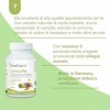 SanaExpert LeberVital Pro | PURIFICATION DU FOIE ET ​​DES REINS | aux extraits de chardon-Marie, dartichaut et de curcuma 1