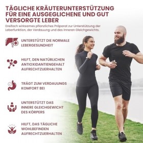 Alzuro Labs Complexe Foie 3 – 4 650 mg | 90 Gélules Végétales | Chardon-Marie, Chanca Piedra & N-Acétyl-Cystéine NAC | Sout