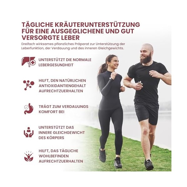 Alzuro Labs Complexe Foie 3 – 4 650 mg | 90 Gélules Végétales | Chardon-Marie, Chanca Piedra & N-Acétyl-Cystéine NAC | Sout