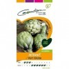 Gondian -Artichaut Vert Globe