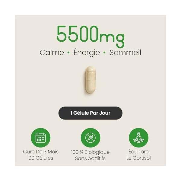 ASHWAGANDHA Bio Gelules Extra Fort 90 Jours | Detox Cortisol | 5500 mg | Ashwagandha KSM-66 + 5% Withanolides | lAshwagandha