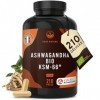 Bio Ashwagandha KSM-66 | Actif breveté - 210 Gélules - 600mg, dont plus de 5% de Withanolide - Vegan, Ayurveda - Sans: Lactos...