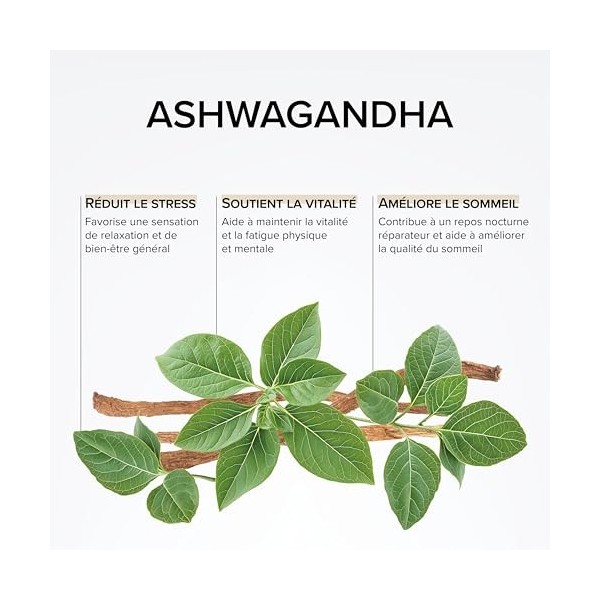 Ashwagandha 1400mg - Extra Fort : 7% Withanolides - Anti Stress & Sommeil - Ashwagandha Pure - 100 Gélules Végétales - Vegan 
