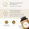 Ashwagandha BIO KSM-66® Breveté - 90 Gélules Vegan - 5% Withanolides - Hautement dosé 600 mg - Réduction du Stress & Cortisol