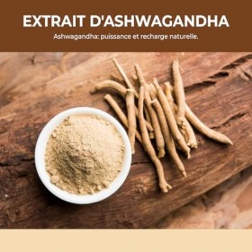 Bandini® Ashwagandha BIO KSM-66® Extra Fort - 500mg par dose, 5% de witanolides - 180 Gélules pour 6 mois - Poudre de Withani