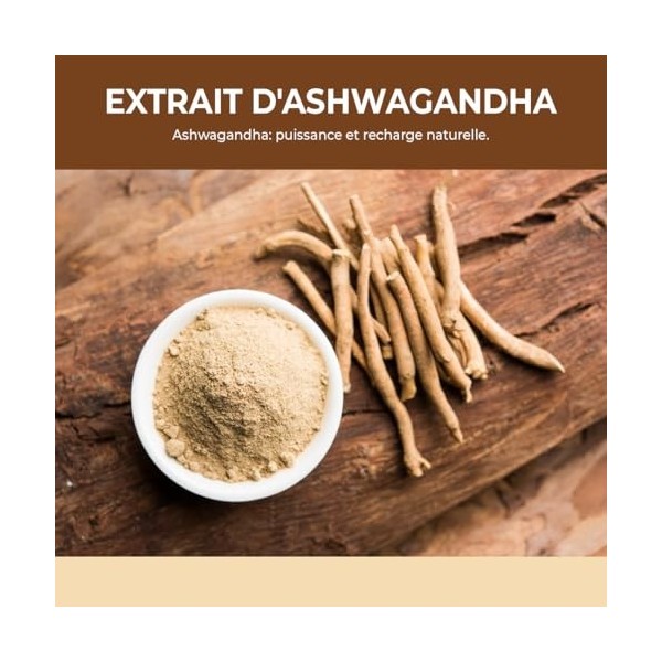 Bandini® Ashwagandha BIO KSM-66® Extra Fort - 500mg par dose, 5% de witanolides - 180 Gélules pour 6 mois - Poudre de Withani