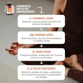 Ashwagandha Bio Sensoril® 5:1 + Extrait 10:1 | Supérieur à KSM-66 & Shoden | 5250 mg/jour | Concentration, Performance Physiq...