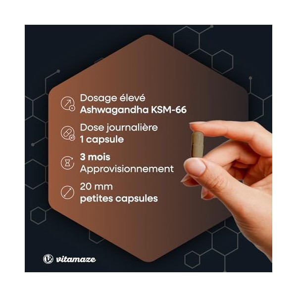 Ashwagandha Bio KSM-66® 9000 mg 15:1 Haute Puissance 3 Mois 90 Gélules, Une par Jour Extrait de Racine avec 5% Withanolid Ash...
