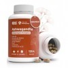 Ashwagandha Complex avec KSM-66, Ginseng, Ginkgo Biloba, Maca, Cordyceps, Vitamines B1-B2 | Adaptogène Anti-stress, Équilibre