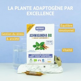 Ashwagandha Bio KSM-66 - Extra dosé 6000 mg - 5% Withanolides - Stress, Sommeil, Concentration & Vitalité - 20 Ampoules - 100