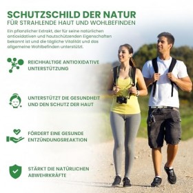 ALZURO LABS Polypodium Leucotomos - Extrait 10:1 Eq à 2,400 mg | 90 gélules végétaliennes | Soutient la santé et la protect