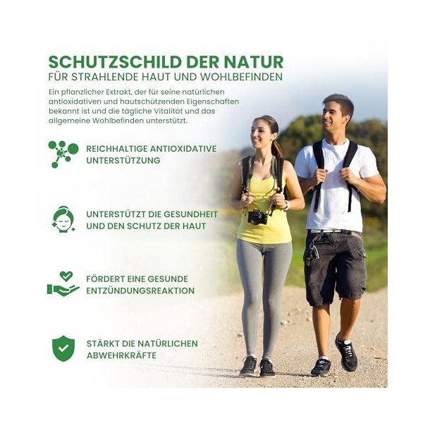 ALZURO LABS Polypodium Leucotomos - Extrait 10:1 Eq à 2,400 mg | 90 gélules végétaliennes | Soutient la santé et la protect