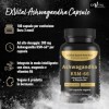 Ashwagandha KSM-66, Matière première premium, 600 mg par jour, 180 capsules cure de 3 mois , Testé en laboratoire, végan, ha