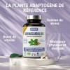 Ashwagandha Bio KSM-66® - 1200 mg - 5% de Withanolides - Gélules Végétales - Stress - Energie - Sommeil - 60 Gélules - Fabriq