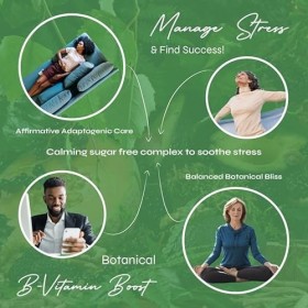 Known 1000mg Ashwagandha Gummies Sans Sucre – Saveur Pomme – Complément Gommes Végan avec Extrait de Racine & Vitamine B6 – É