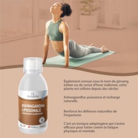 Bandini® Ashwagandha KSM-66® Liposomal Liquid 250 mg – 5% withanolides - Haute biodisponibilité & Absorption – Tonique-adapto