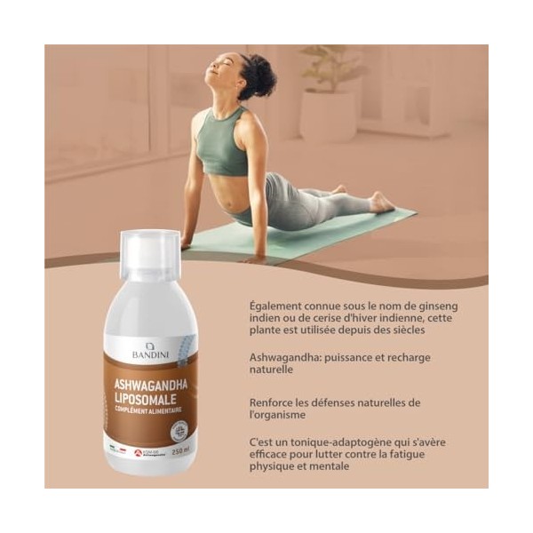 Bandini® Ashwagandha KSM-66® Liposomal Liquid 250 mg – 5% withanolides - Haute biodisponibilité & Absorption – Tonique-adapto