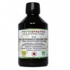 Phytospagyrie stimulant physique et équilibre nerveux n°15 BIO 300ml Vecteur Energy