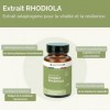 Rhodiola Rosea – Résilience, Stress & Fatigue – Plante Adaptogène – 60 Gélules Végétales – Nootrolab