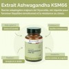 Ashwagandha BIO KSM-66® – Extrait Breveté Full Spectrum – 1200 mg – Gestion du Stress, Sommeil, Vitalité, Fertilité – Régulat