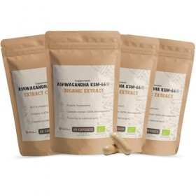 Cupplement Ashwagandha KSM Lot de 240 66 gélules 500 mg – Bio – Sans poudre, tablette, ours en gomme, thé – Superaliment – As