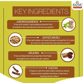 Sandu Ashwagandharishta – 450 ml lot de 2 | pour lénergie et la vitalité