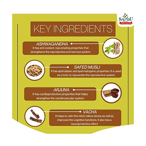 Sandu Ashwagandharishta – 450 ml lot de 2 | pour lénergie et la vitalité