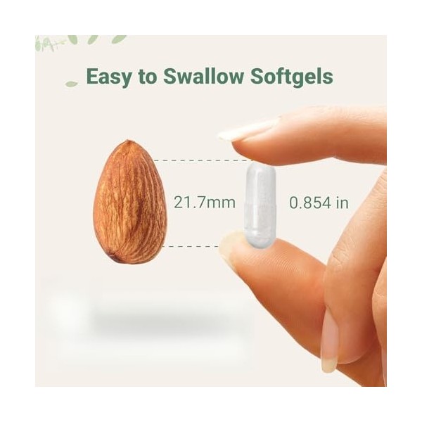 Gummies shilajit de lHimalaya à lashwagandha, sans sucre ajouté, biologique, pour hommes femmes