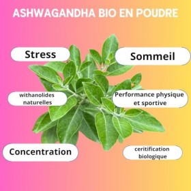 ASHWAGANDA | BIO| Withanolides | Adaptogène | Ayurveda | Stress, Sommeil, Énergie, Bien-Être | sachet poudre 150g | Fabriqué 