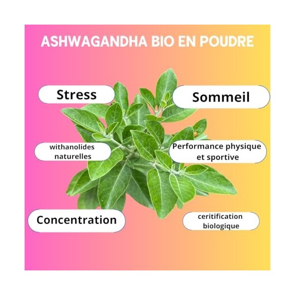 ASHWAGANDA | BIO| Withanolides | Adaptogène | Ayurveda | Stress, Sommeil, Énergie, Bien-Être | sachet poudre 150g | Fabriqué 